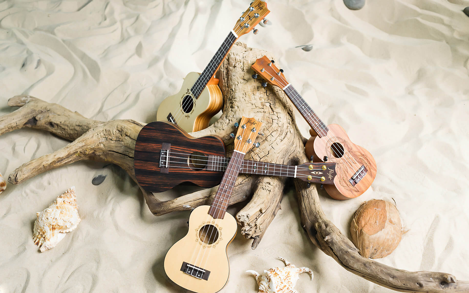 Let Your Music Take Flight