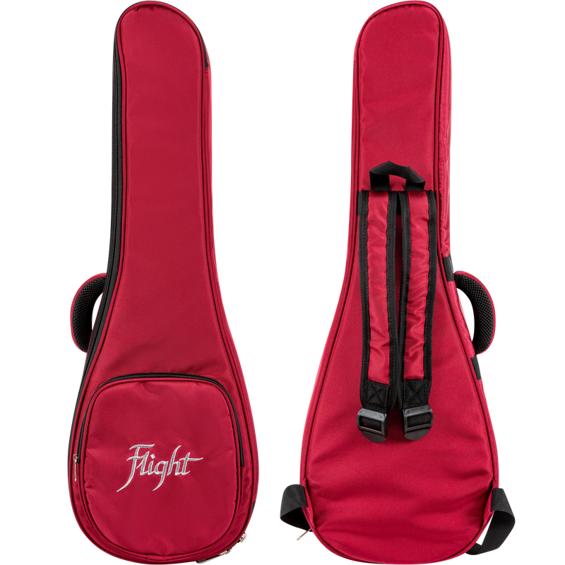 A10 Gig Bag