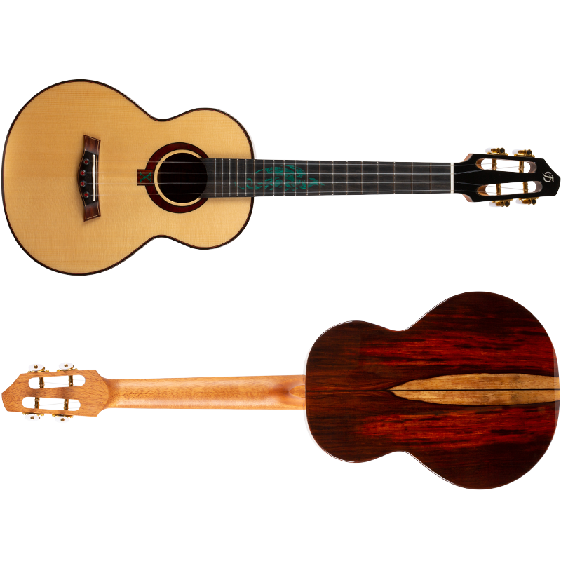 A10SC_Cocobolo_Dragon_5