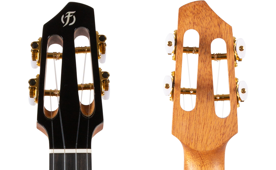 A10SC_Cocobolo_Dragon_7