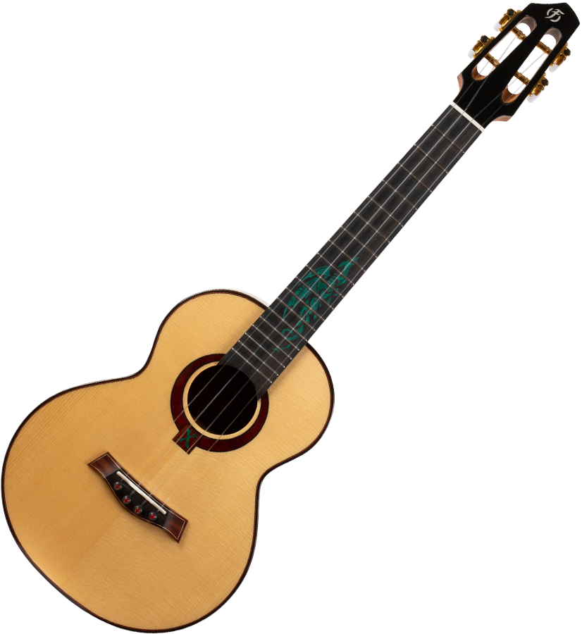 A10SC_Cocobolo_Dragon_9