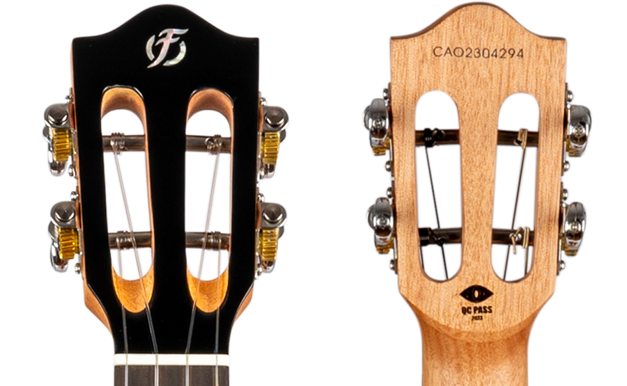 Iris-Tenor_7